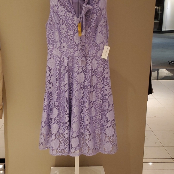 Alexia Admor Luna Lace Fit & Flare Midi Dress NWT - Picture 5 of 8